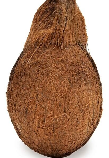 Fresh Coconut - Medium 1 Pc
